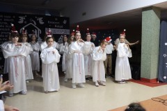 IMG_6954