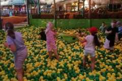 IMG-20240529-WA0027